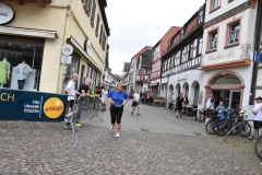 HS7_8031