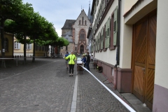 HS7_8119