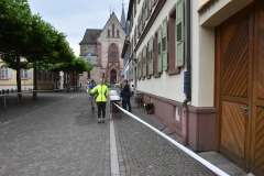 HS7_8121