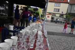 HS7_8129
