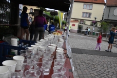 HS7_8130