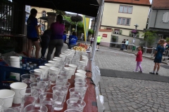 HS7_8132