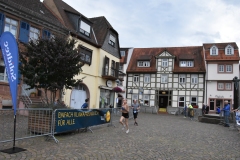 HS7_8275