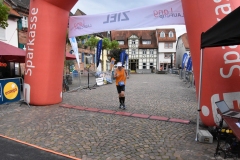 HS7_8281